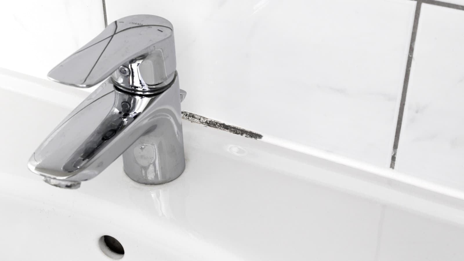 Plísně v koupelnových spárách Plísně v koupelnových spárách